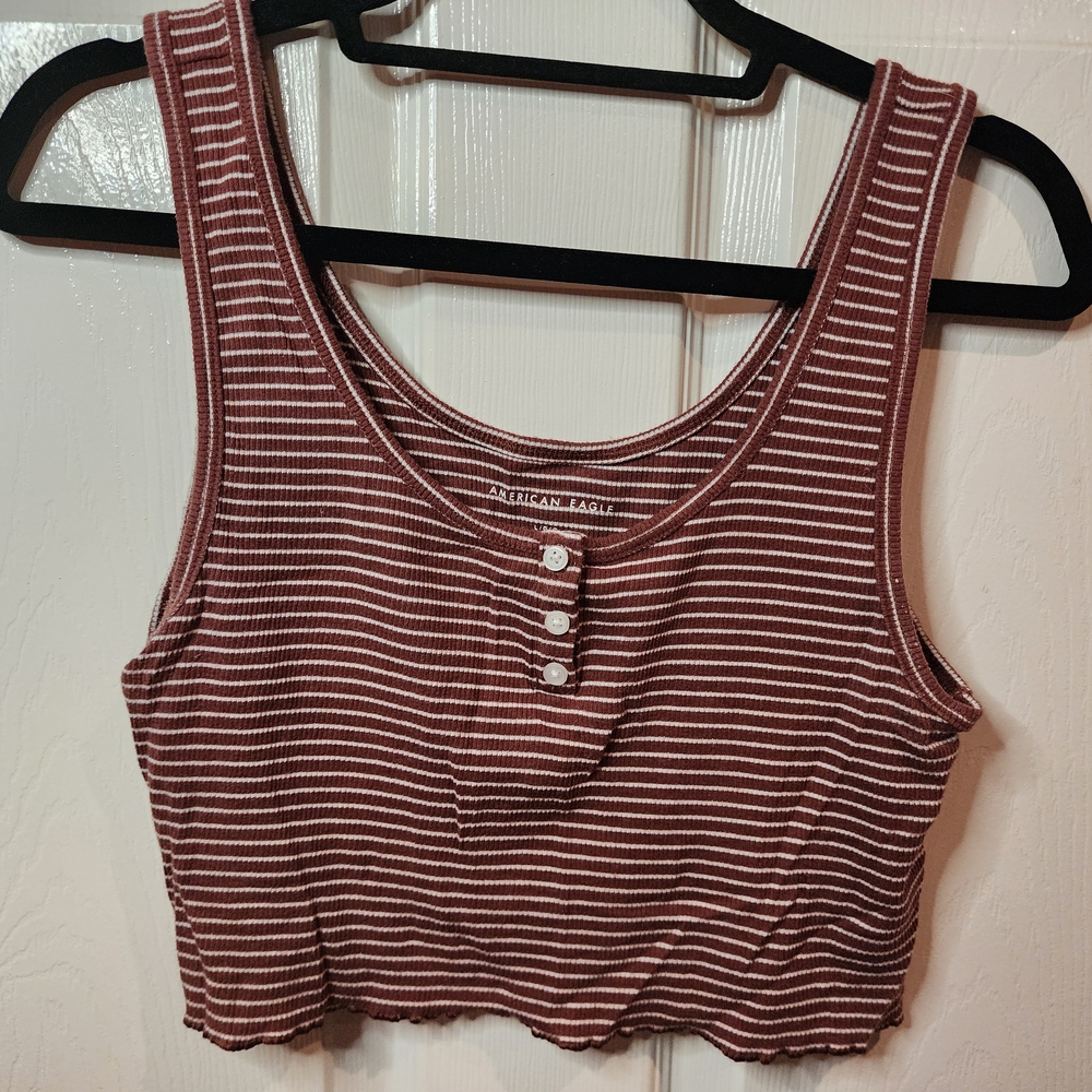 American Eagle Outfitters Striped Brown Crop Top